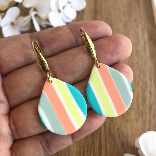 Colorful Drop Hook Earrings